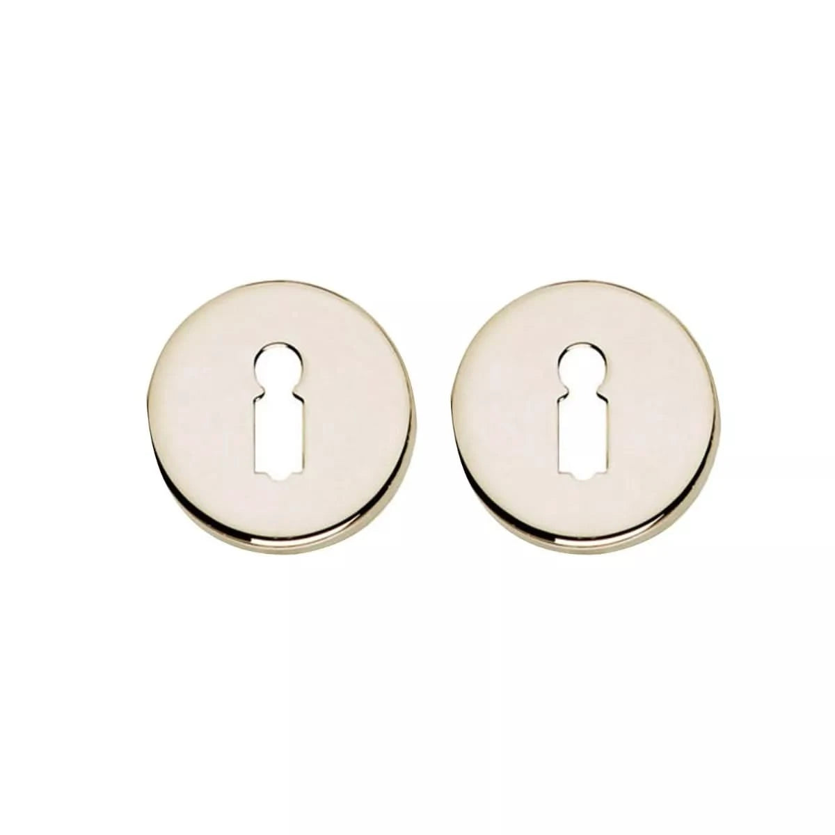 Intersteel Rozet Sleutelgat Verdekt Nikkel