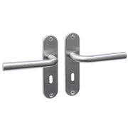 Intersteel Luzern deurkruk sleutelgat 56 mm op ovaal schild RVS geborsteld, vooraanzicht