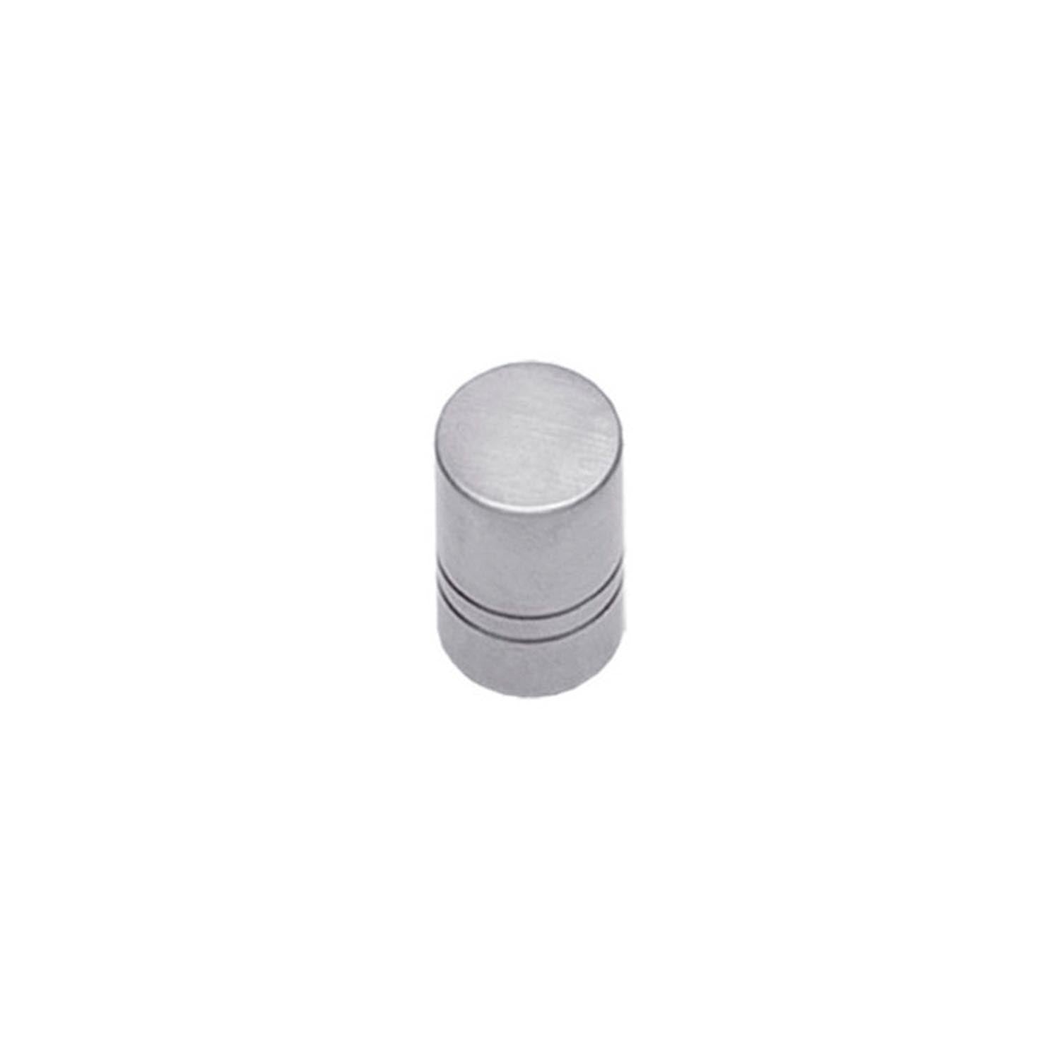 Intersteel Meubelknop 18mm RVS Geborsteld – vooraanzicht