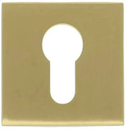 Formani | Cilinderplaatje BASIC BSQY53 | PVD mat Goud