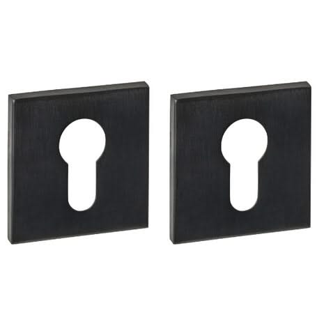 Intersteel Q Cilinderrozetten verdekt 53x53x6mm pvd zwart