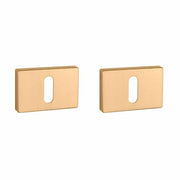 Aprile | Sleutelrozet | Premium & Prestige | Rechthoekig | 50x33x7mm | Mat-Goud
