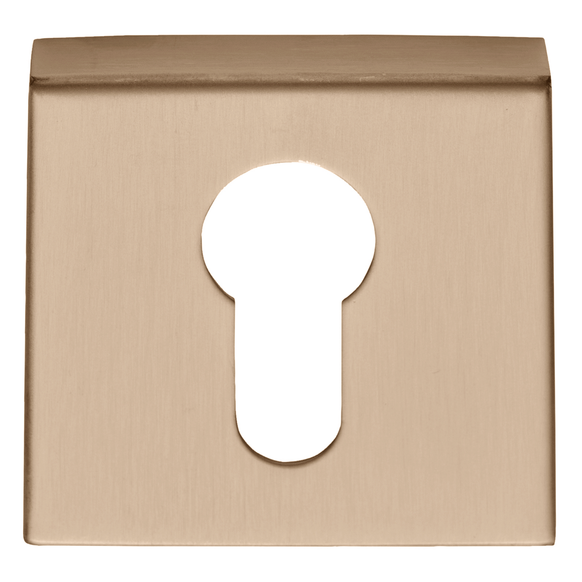 Formani | Cilinderplaatje BASIC BSQY53 | PVD Licht Brons