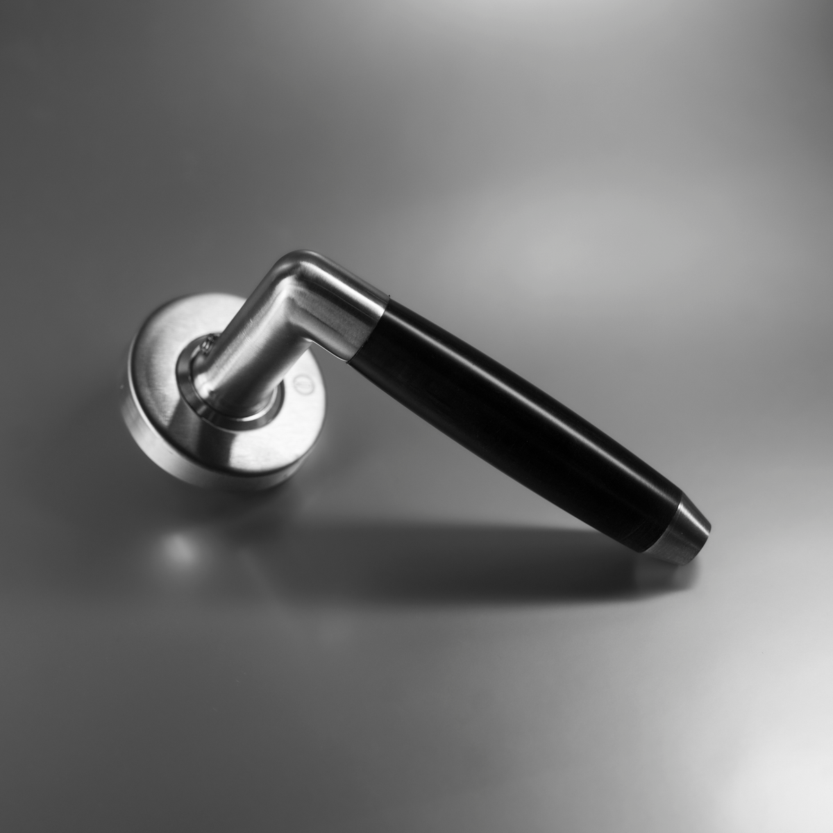 Intersteel Deurkruk Combi op rozet met ring met veer rvs geborsteld