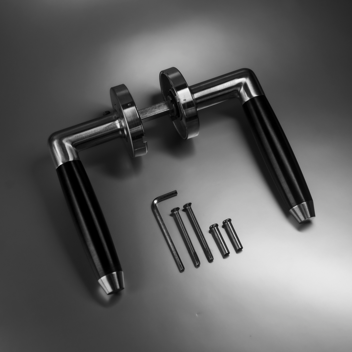 Intersteel Deurkruk Combi op rozet met ring met veer rvs geborsteld
