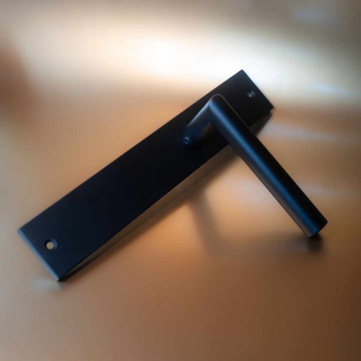 Intersteel Deurkruk Bastian op schild 245x45 mm blind mat zwart