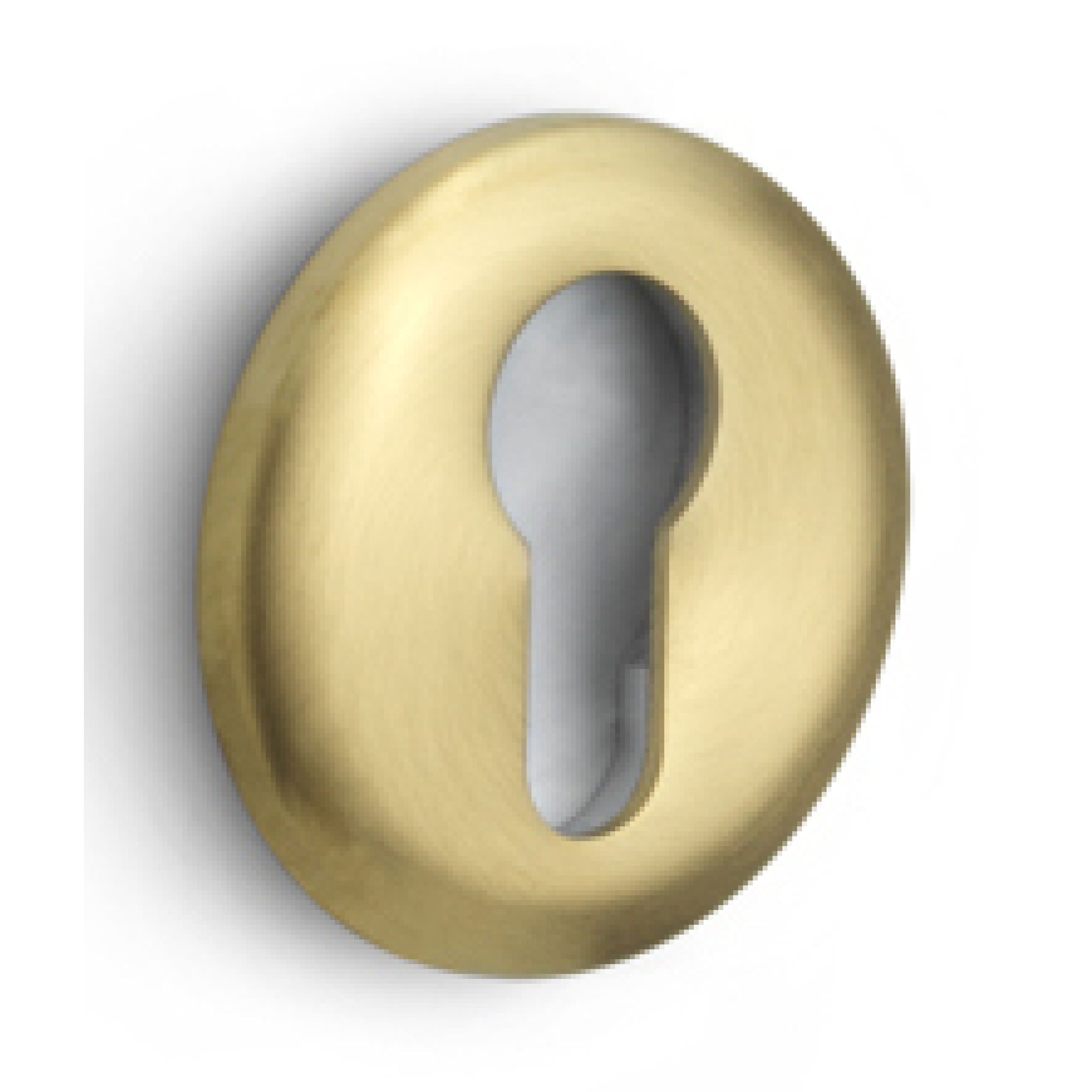 Formani | Cilinderrozet | EVBY52 | Rond |   PVD mat goud