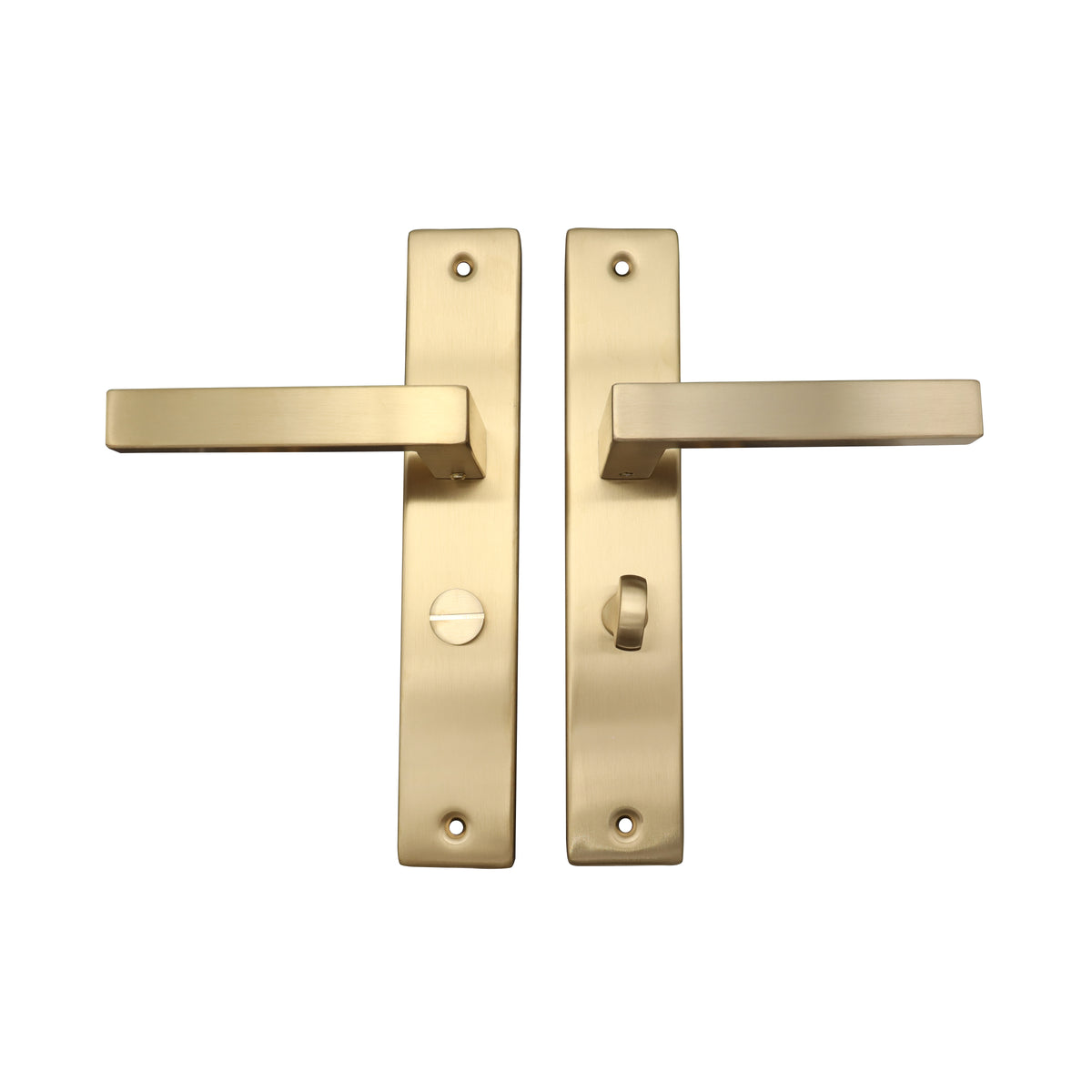 Griff Meister deurkruk Fortis Champagne PVD op schild WC63/8 toilet