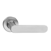 Intersteel Deurkruk Massief strak elegant op rozet met ring met veer rvs geborsteld