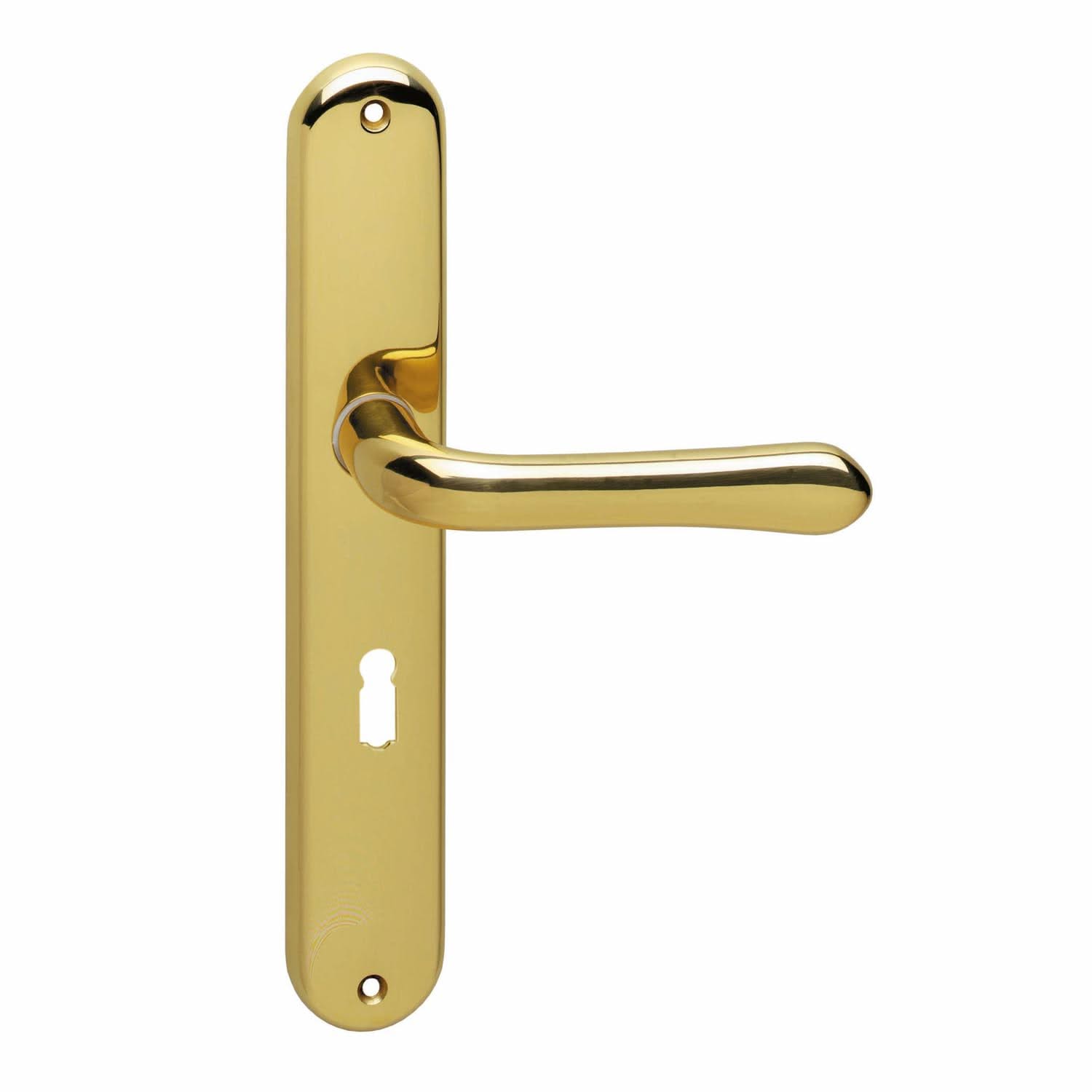 Intersteel Deurkruk Saturnus op schild messing gelakt - Deurbeslag-expert