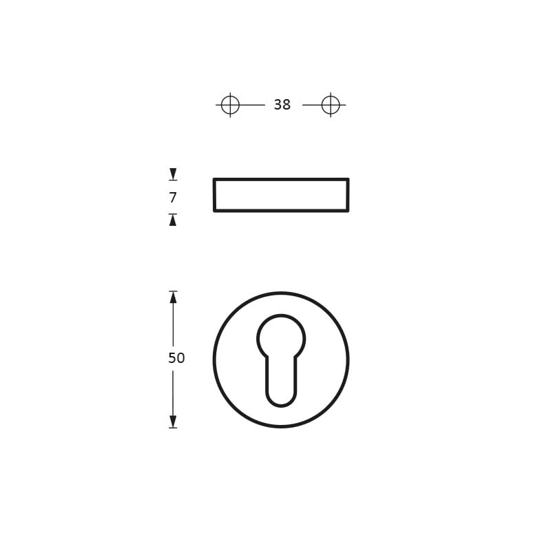 Intersteel Rozet profielcilindergat messing titaan PVD 1