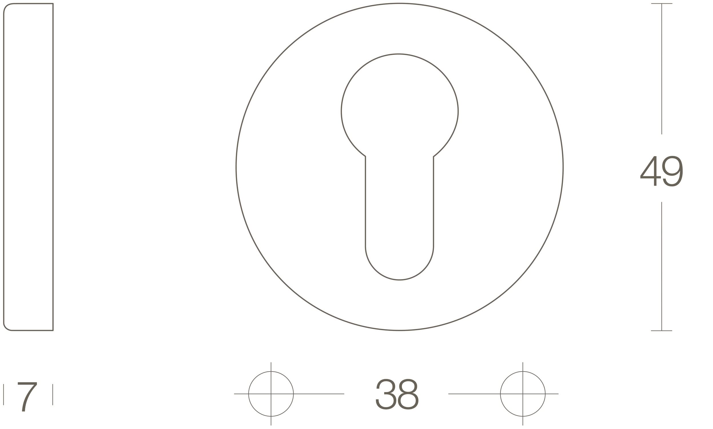 Intersteel Rozet profielcilindergat rond verdekt kunststof messing gelakt 1