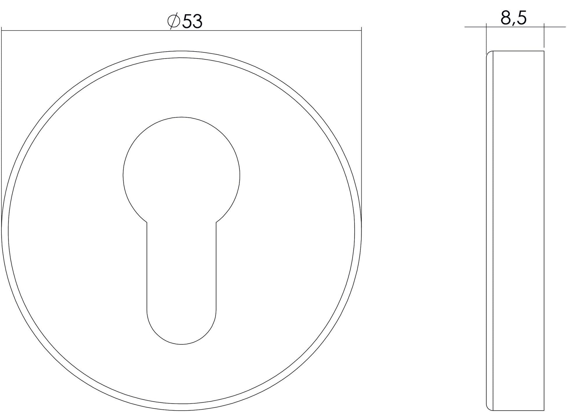 Intersteel Rozet profielcilindergat rond verdekt rvs geborsteld 1