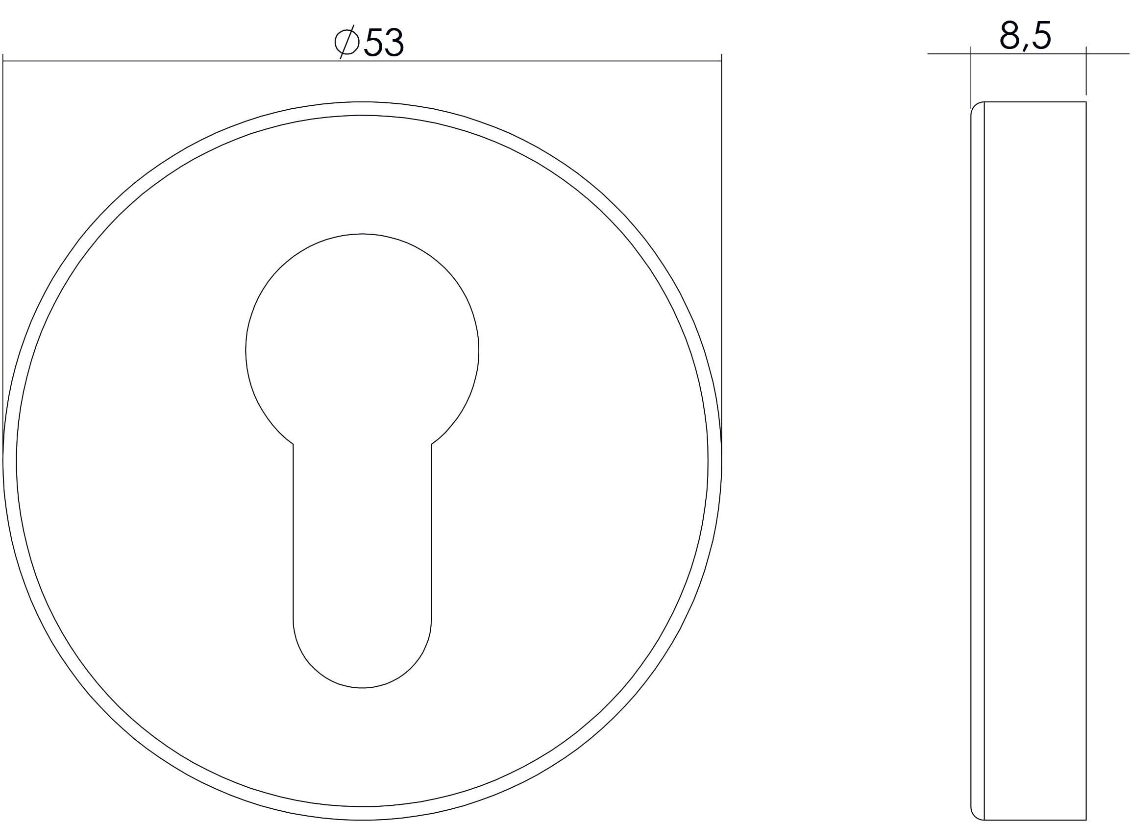 Intersteel Rozet profielcilindergat rond verdekt rvs geborsteld 1