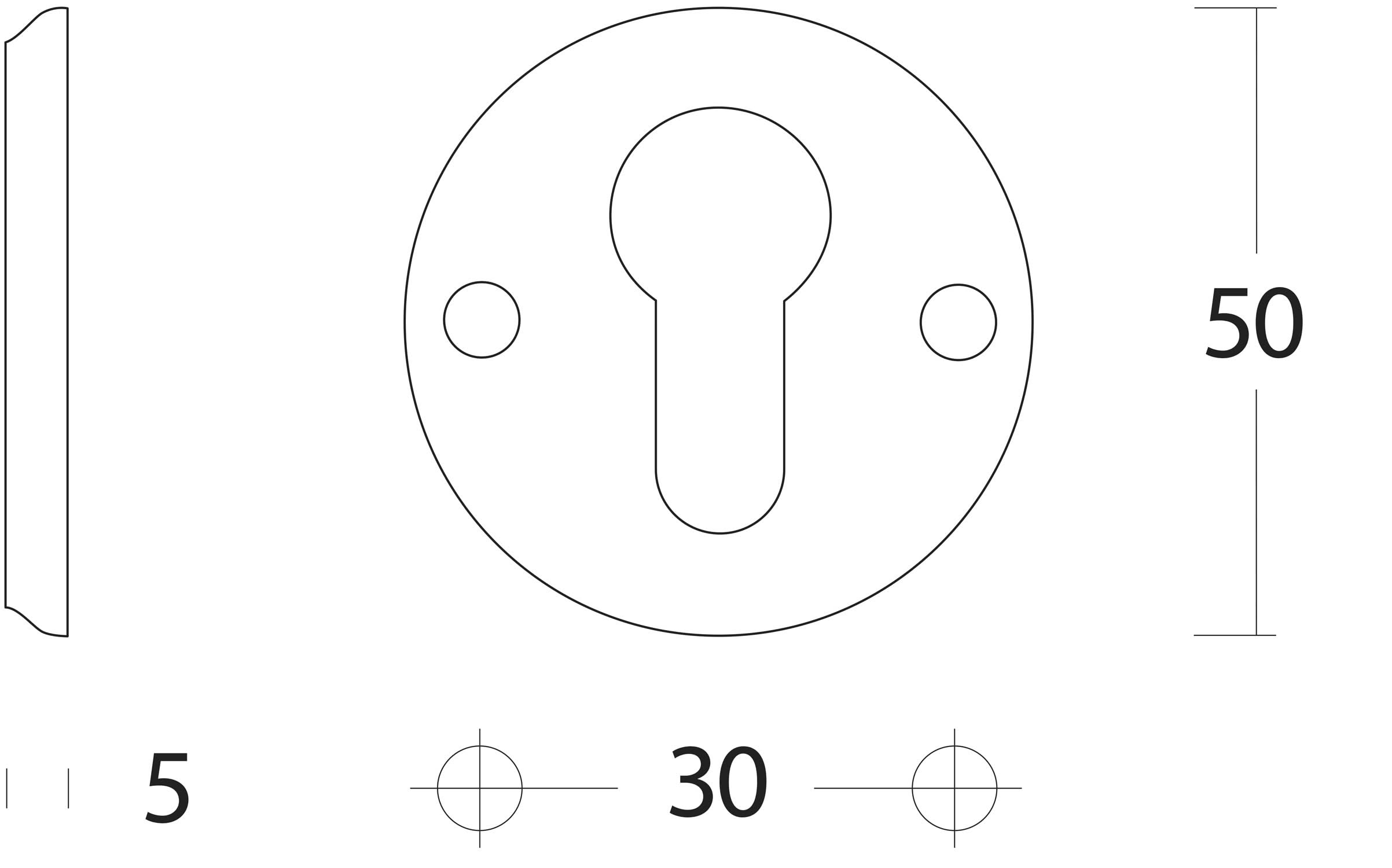 Intersteel Rozet profielcilindergat schroefgat messing gelakt 1