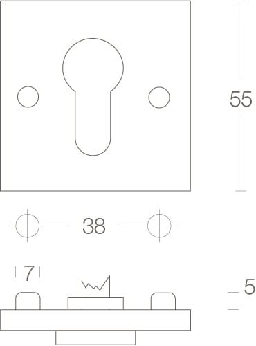Intersteel Rozet profielcilindergat vierkant groot chroom mat 1