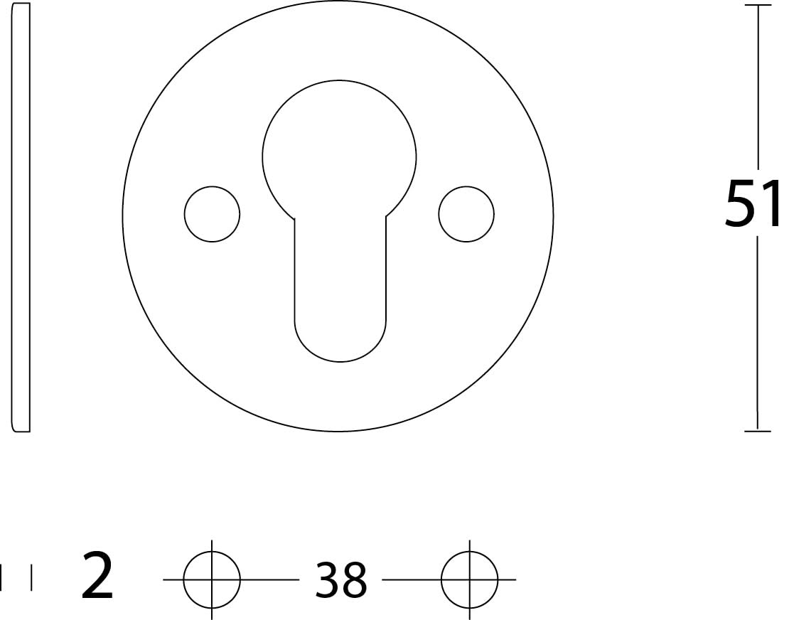 Intersteel Rozet rond plat 50 mm profielcilindergat plat rvs geborsteld 1