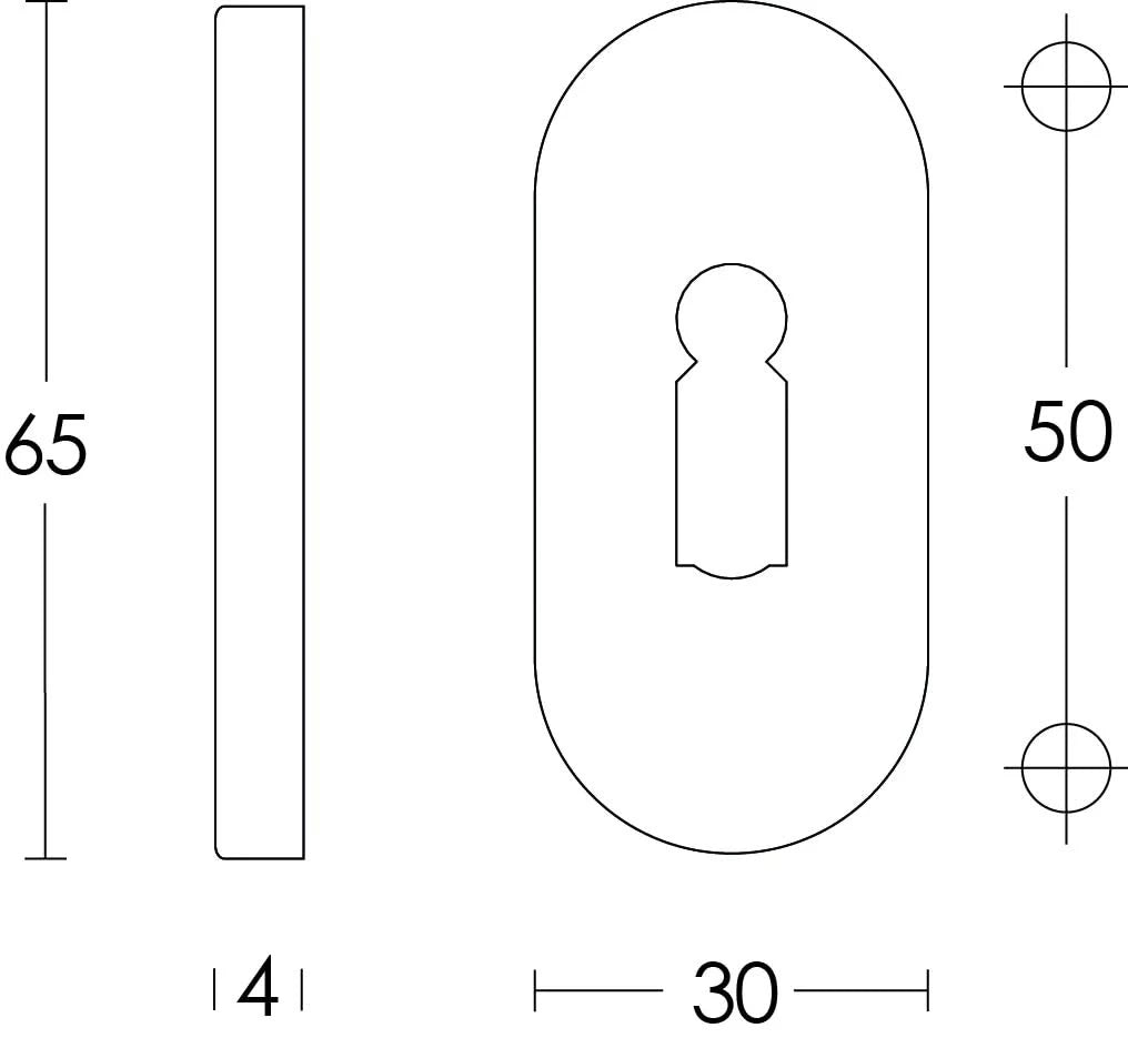 Intersteel Rozet sleutelgat ovaal verdekt rvs geborsteld 4 mm 1