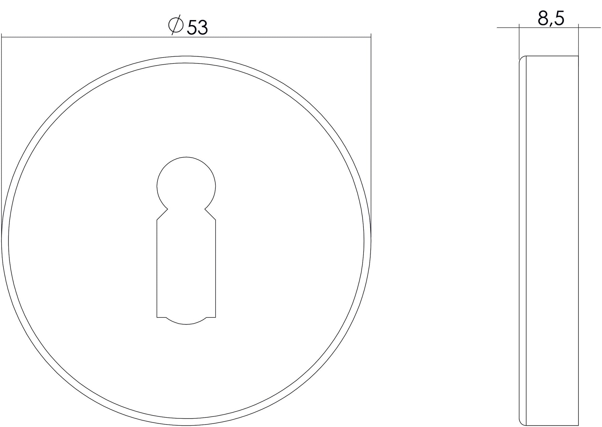 Intersteel Rozet sleutelgat rond verdekt rvs geborsteld 1