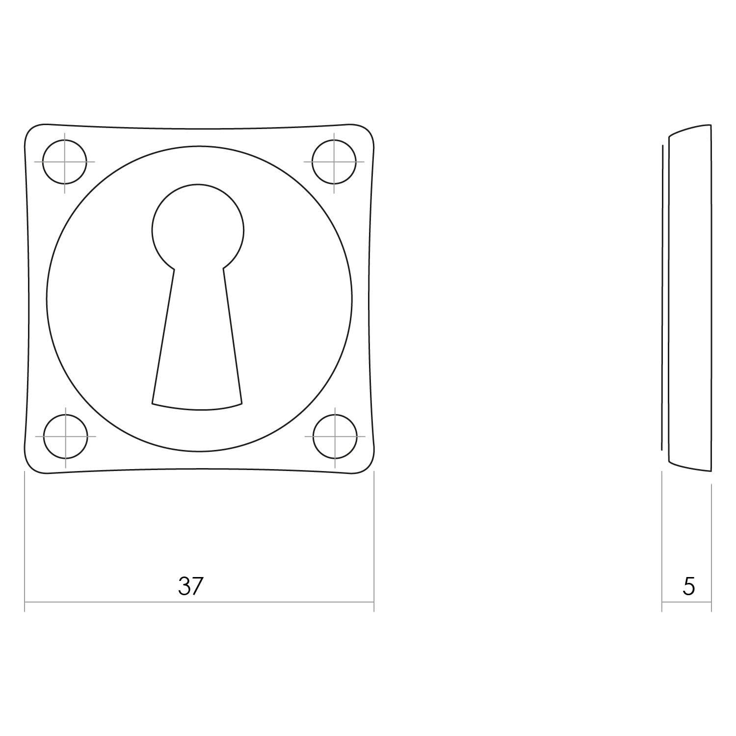 Intersteel Rozet sleutelgat schroefgat vierkant messing getrommeld 1