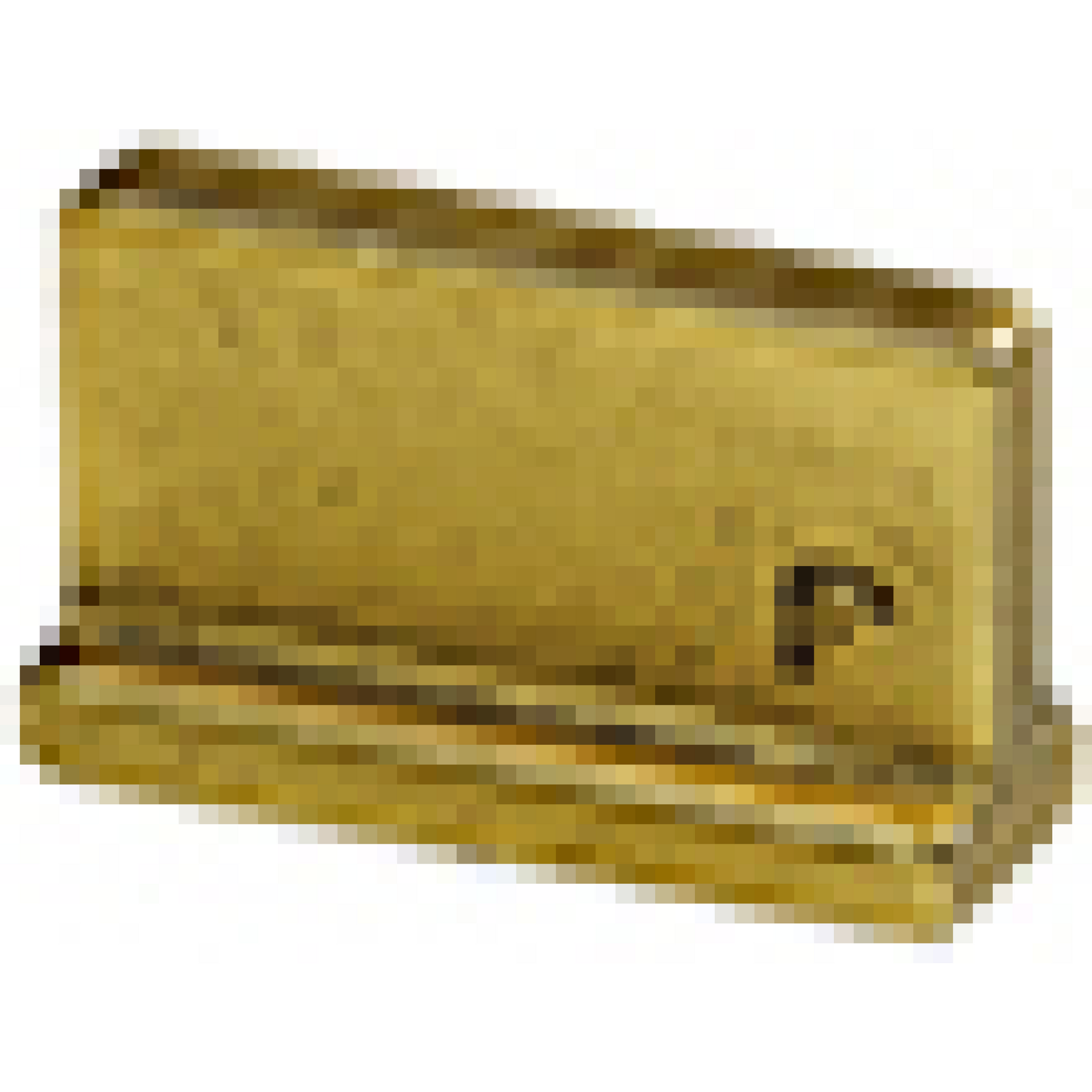 jolie rivers | meubelgreep 32 mm | antiek goud