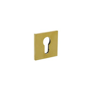 Olivari | Rozet met profielcilindergat | Vierkant | Mat titaan PVD