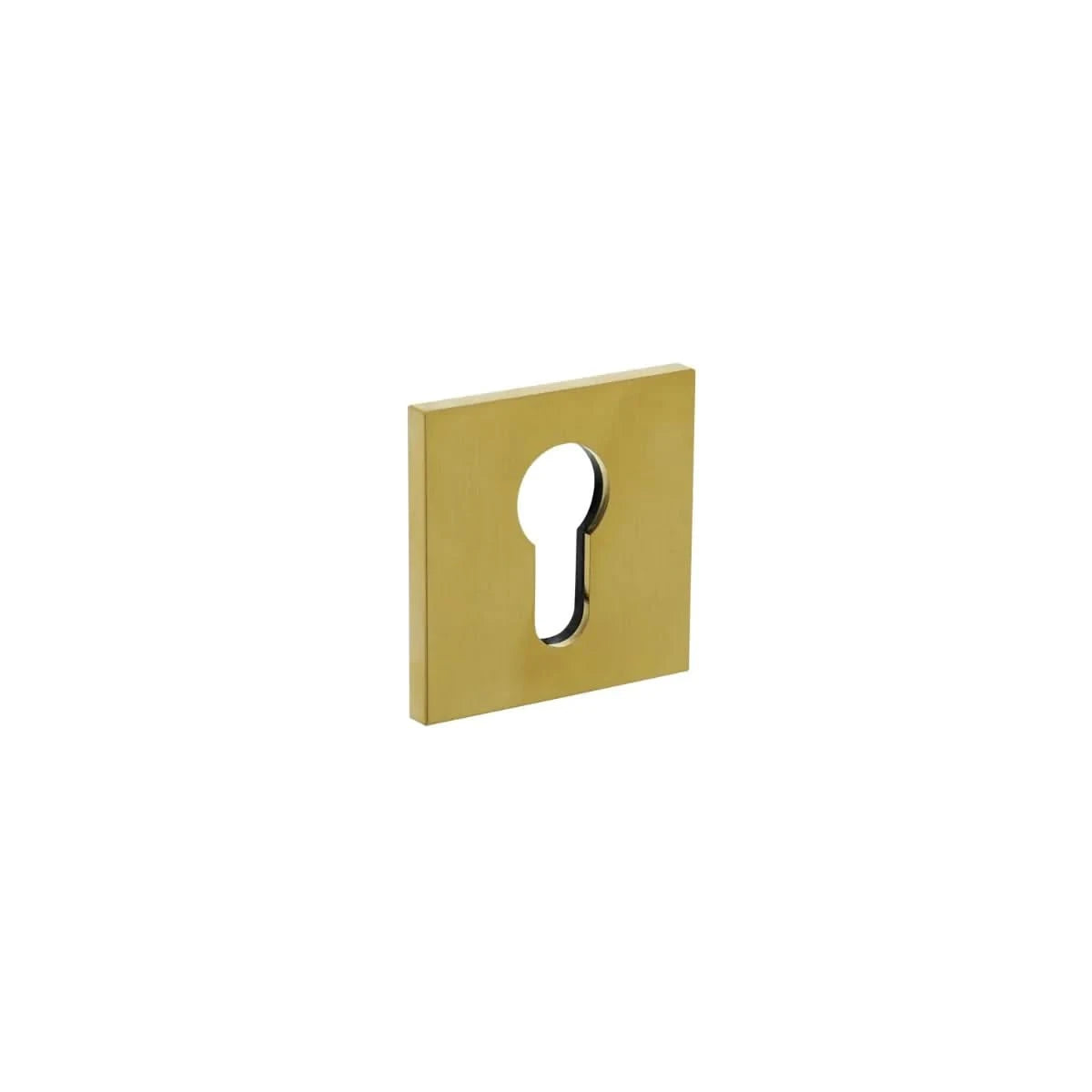 Olivari | Rozet met profielcilindergat | Vierkant | Mat titaan PVD