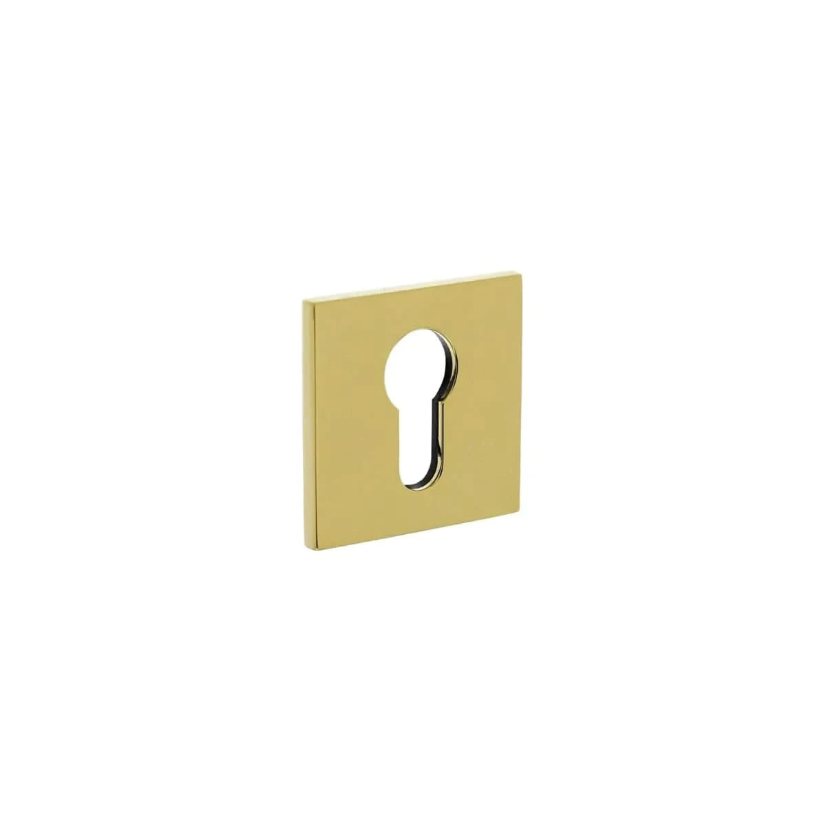 Olivari | Rozet met profielcilindergat | Vierkant | Messing titaan PVD