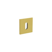 Olivari | Rozet met sleutelgat | Vierkant | Messing titaan PVD