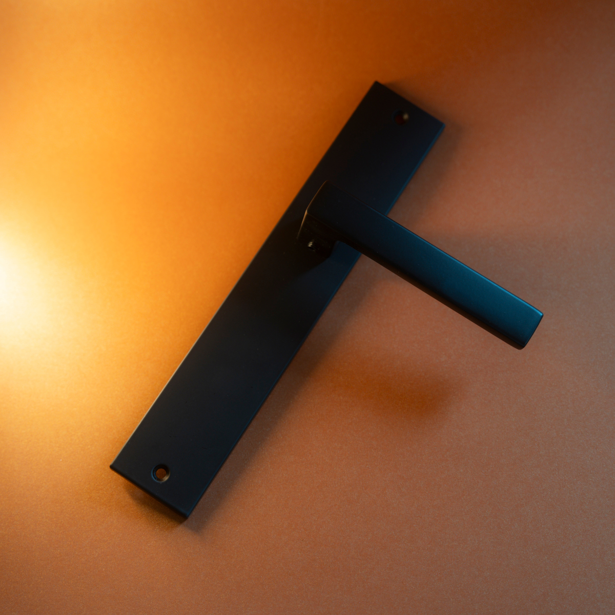 Intersteel Deurkruk Hera op schild 245x45 mm blind mat zwart