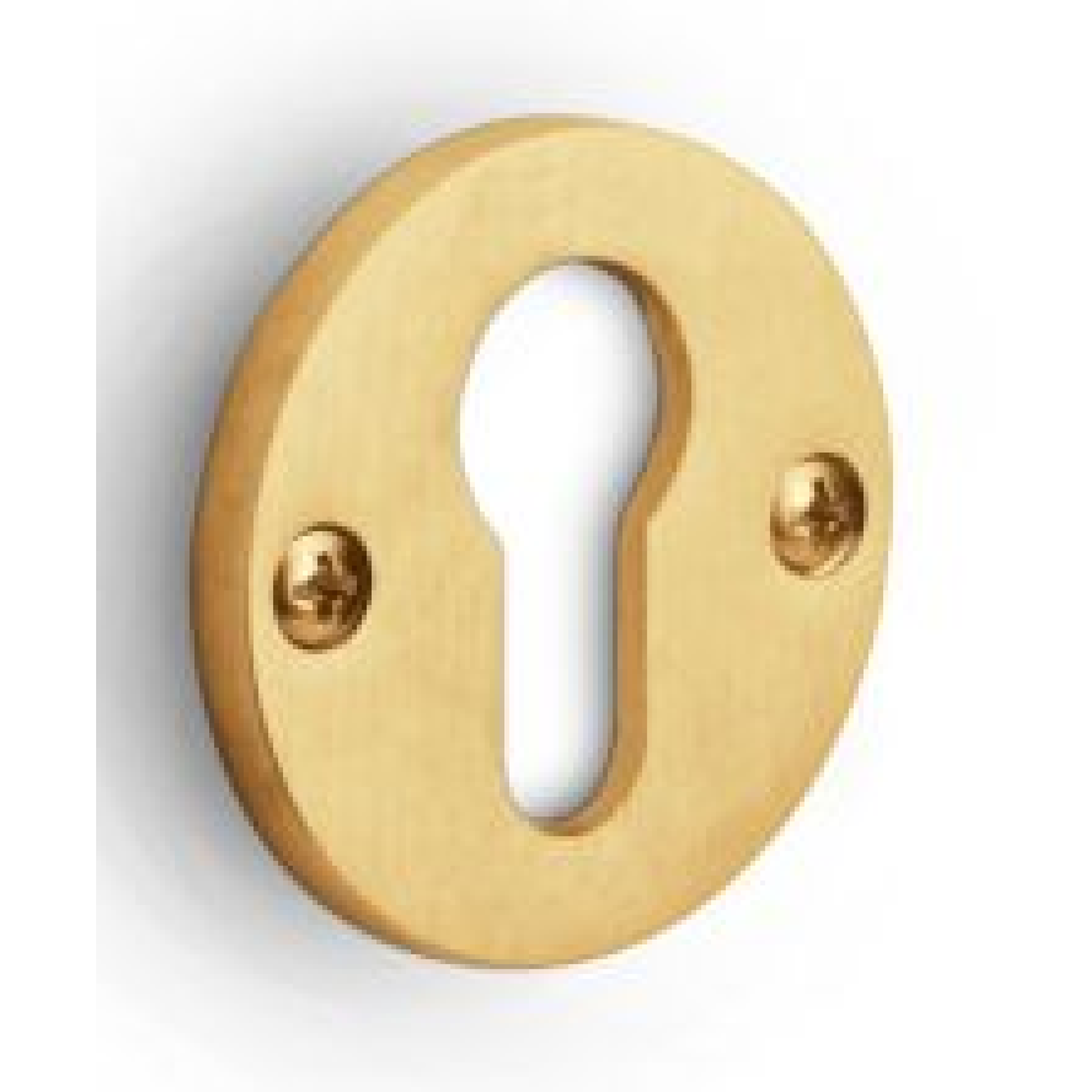 Formani | Cilinderrozet | PBY50 | Rond | PVD mat goud