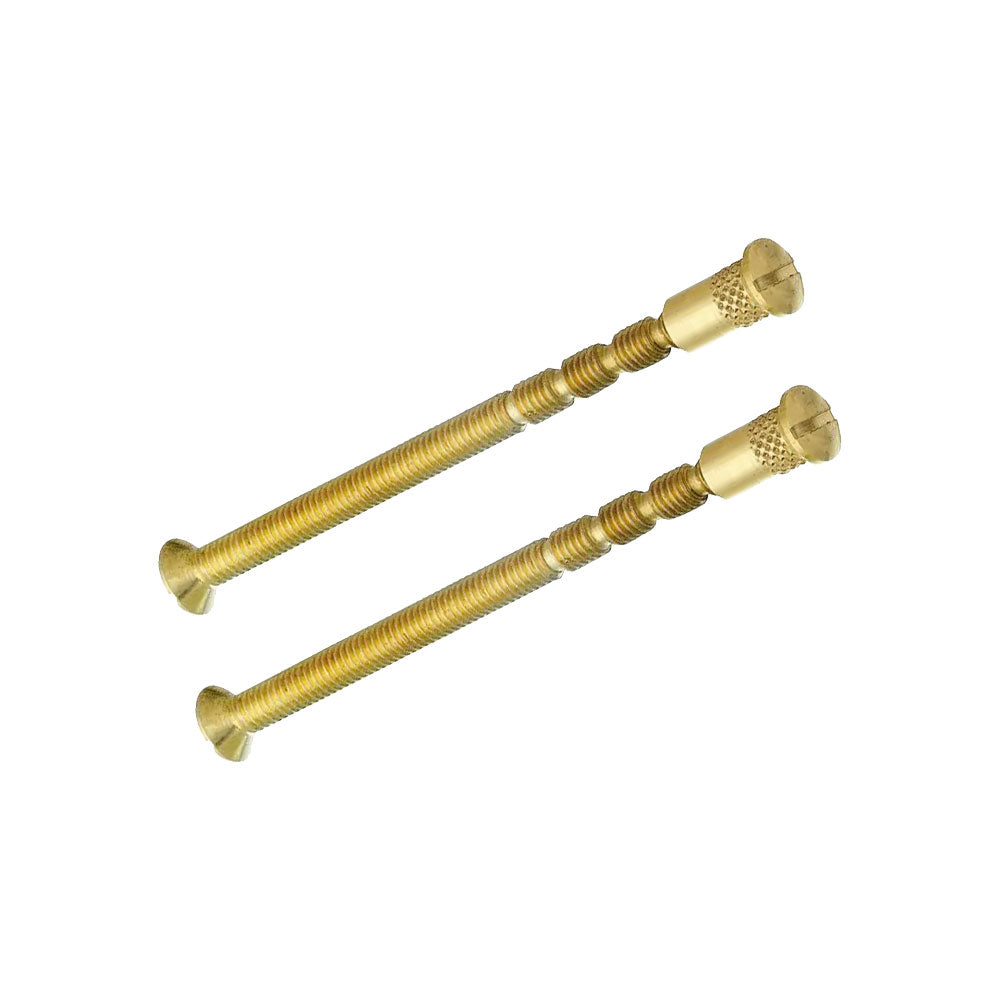Artitec patentbout M4x65 met platkop in messing ongelakt, set van 2 stuks, vooraanzicht