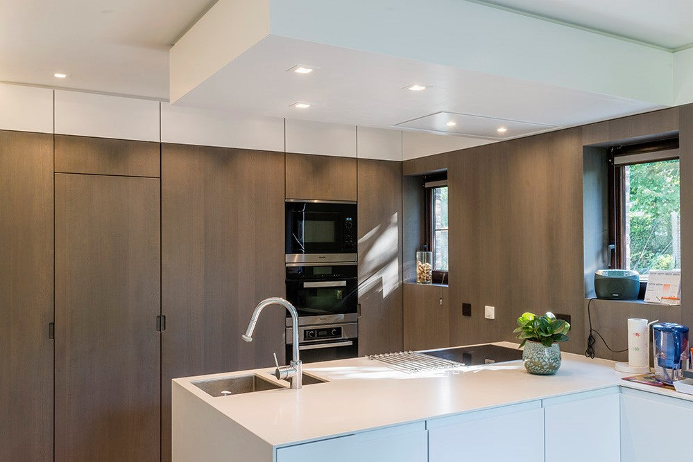 Argenta Pivotica taatsdeurscharnier inox - productaanzicht