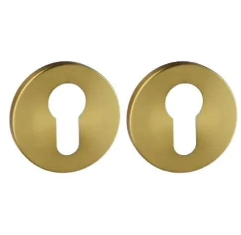 Artitec PC-plaatjes ø52x6mm Permafix PVD Goud - Deurbeslag-expert