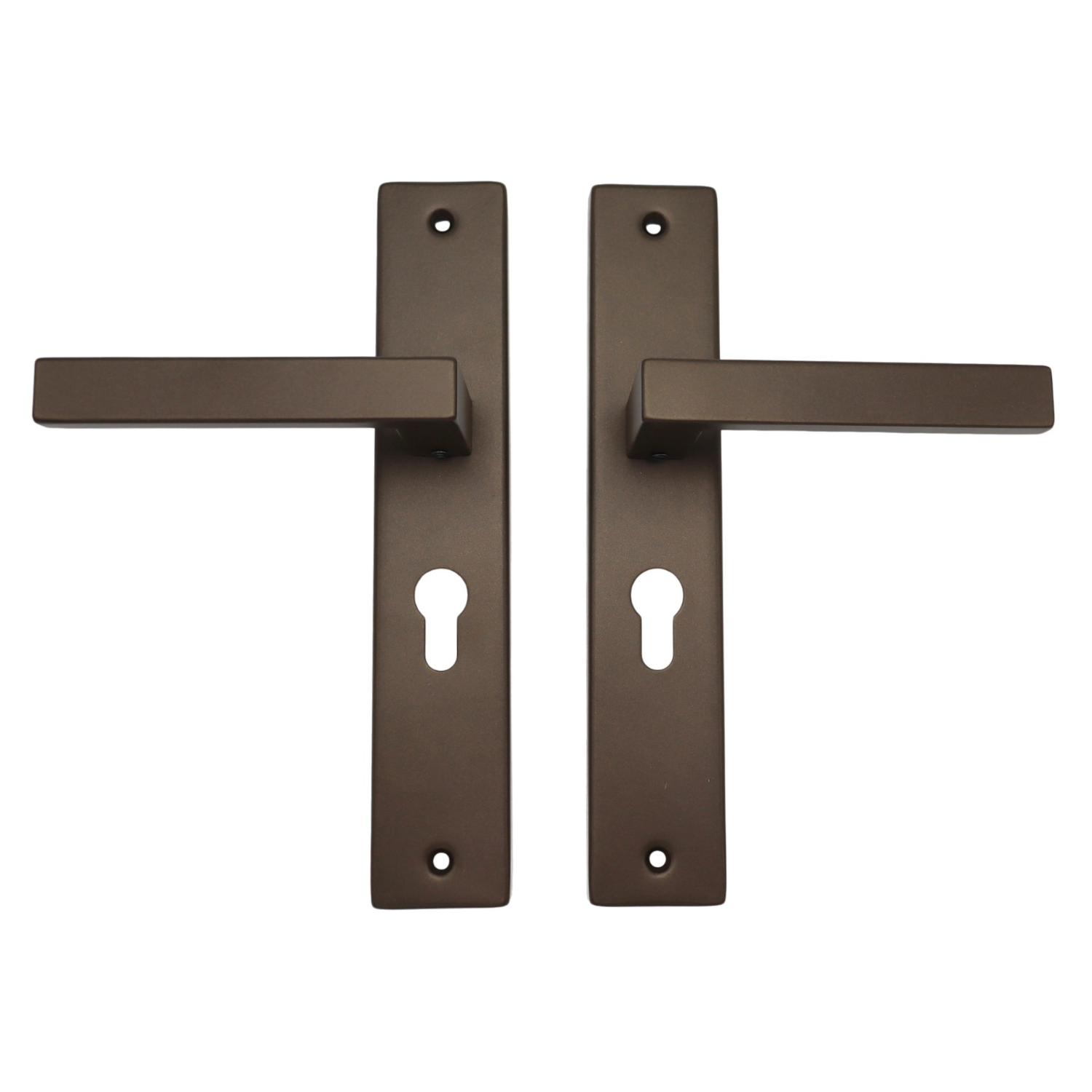 Griff Meister | Deurkruk Fortis | Op schild | PC55