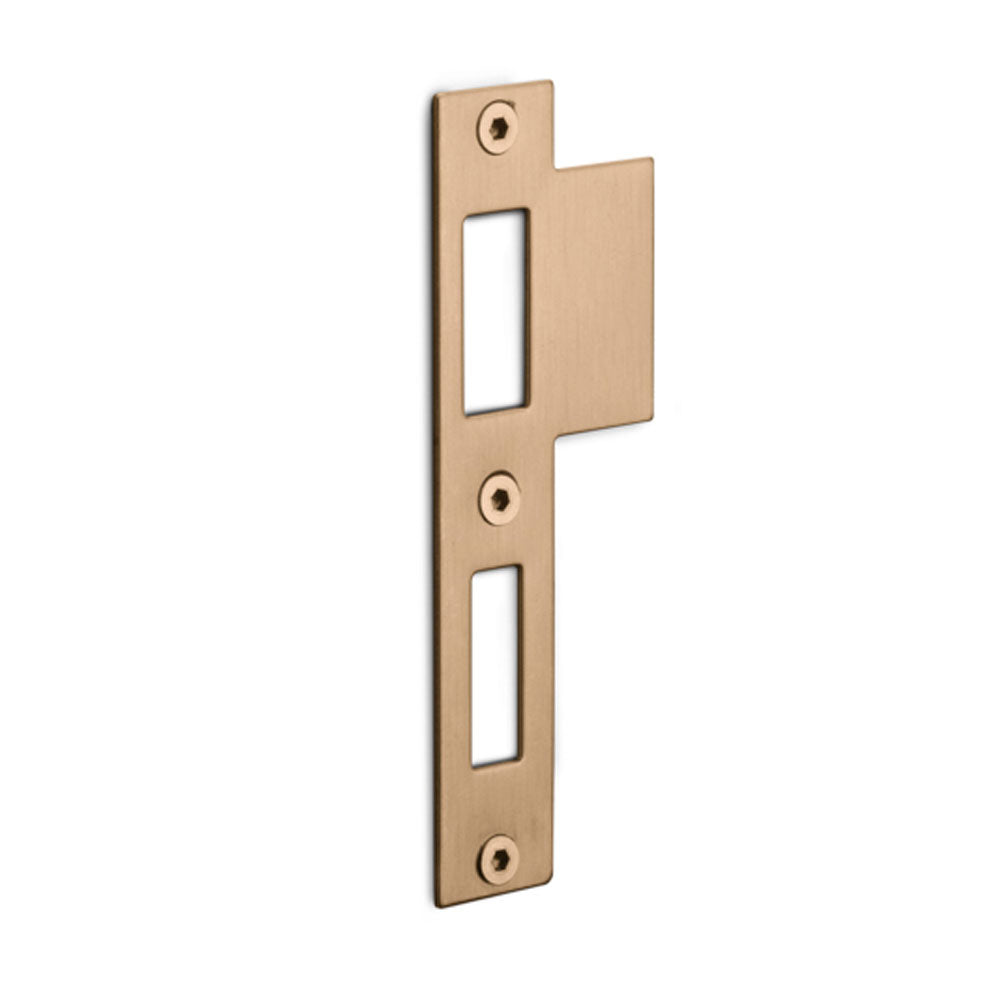 Rechthoekige sluitplaat voor dag- en nachtschoot PVD Licht Brons | LBSPNYW - Deurbeslag-expert