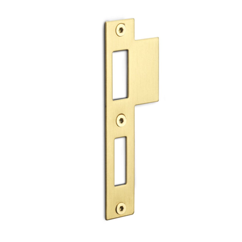 Rechthoekige sluitplaat voor dag- en nachtschoot PVD Mat Goud | LBSPNYW - Deurbeslag-expert