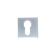 download 2024 12 16T212254.041