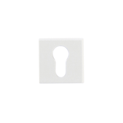 download 2024 12 16T214014.920