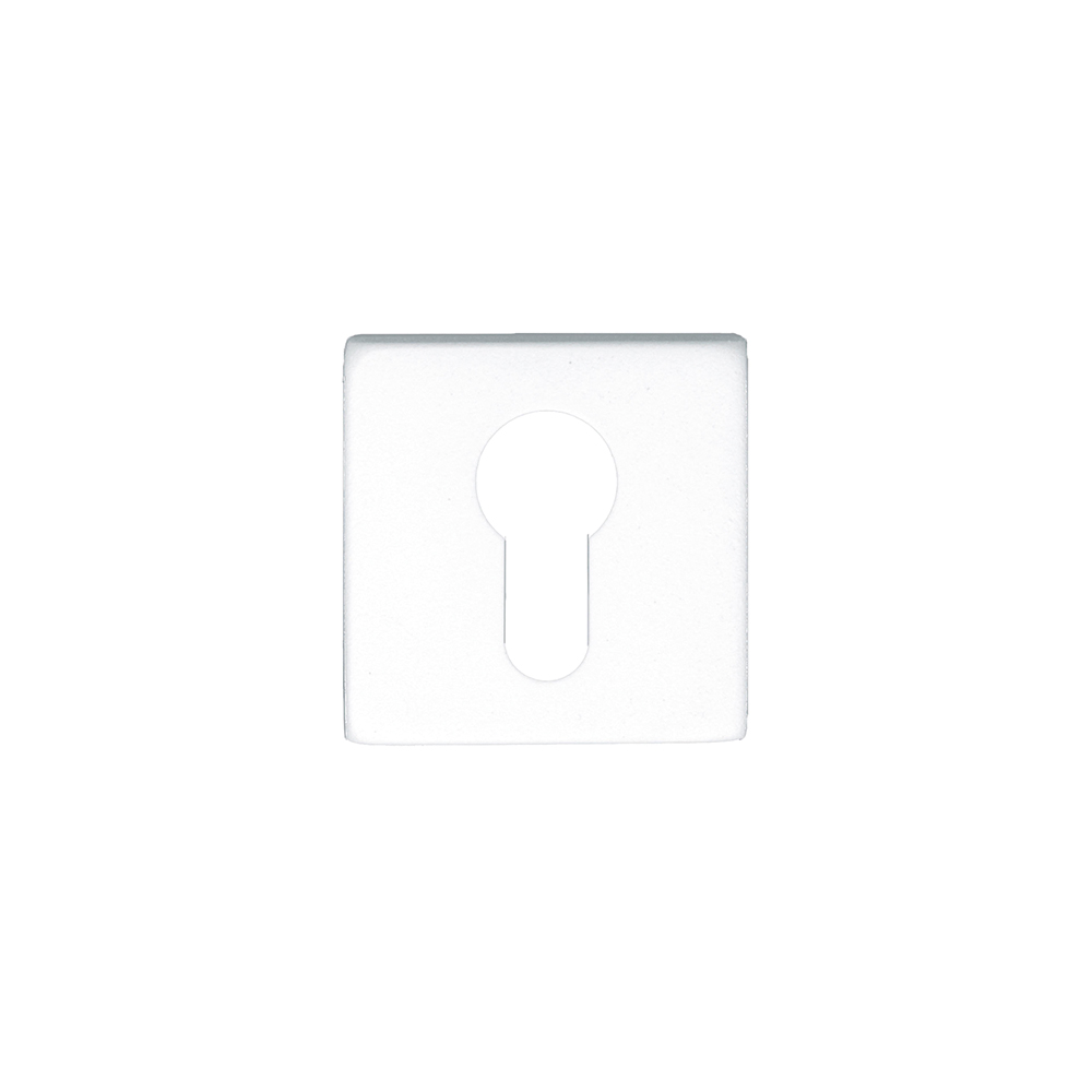 download 2024 12 16T224547.749