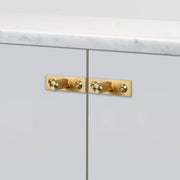 buster + punch linear | meubelknop op rozet | goud