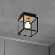 Buster + Punch Caged Wet | Plafondlamp Small | Goud