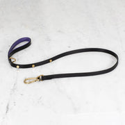 Buster + Punch | Hondenriem Cross Black Purple | Goud