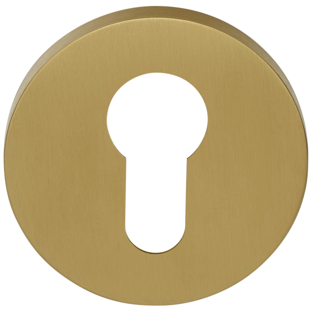 Formani | Cilinderrozet | GLY53 | Rond | PVD mat goud