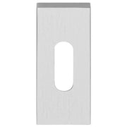 Formani | Sleutelplaatje | LSQBN32 | 70mm | mat roestvast staal