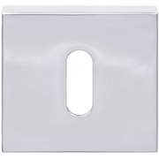 Formani | Sleutelplaatje | LSQBN50 | 50mm | gepolijst roestvast staal