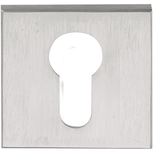 Formani | Cilinderrozet | LSQBY50 | Vierkant | Mat roestvast staal