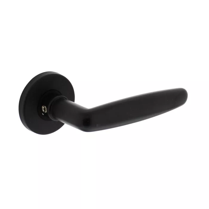 Intersteel Door handle Sophie with rosette o49x7mm concealed matt black
