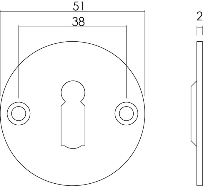 Intersteel Rosace ronde plate 50 mm trou de serrure plat acier inoxydable brossé 1