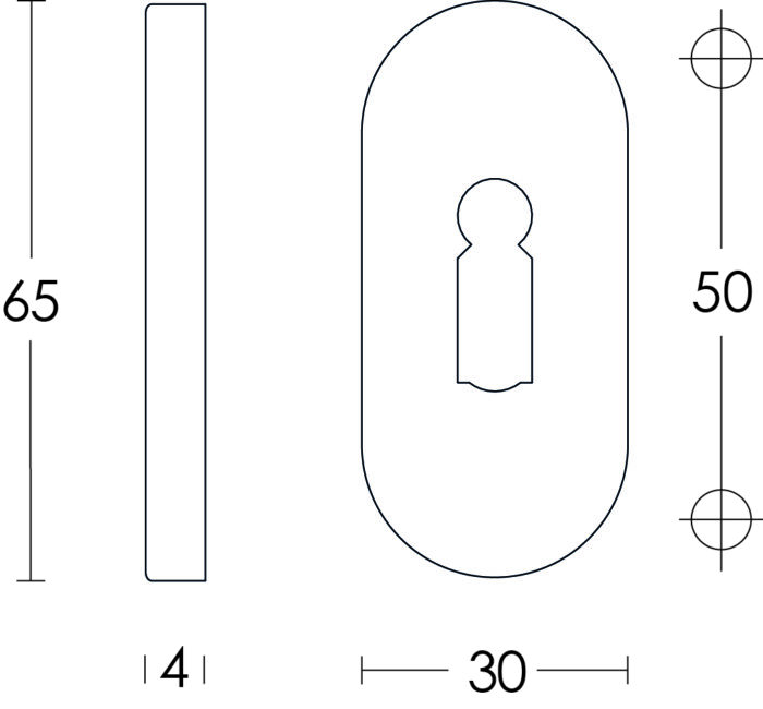 Intersteel Rozet sleutelgat ovaal verdekt rvs geborsteld 4 mm 1
